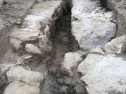 Yacimiento de Villaricos 2012